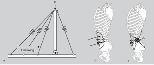 Imagen 2. Extraida de McGill SM (2007). Low Back Disorders. Second ed. Canada: Human Kinetics